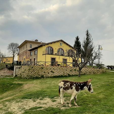 Agriturismo Antica Corte Montatteglia Εξωτερικό φωτογραφία